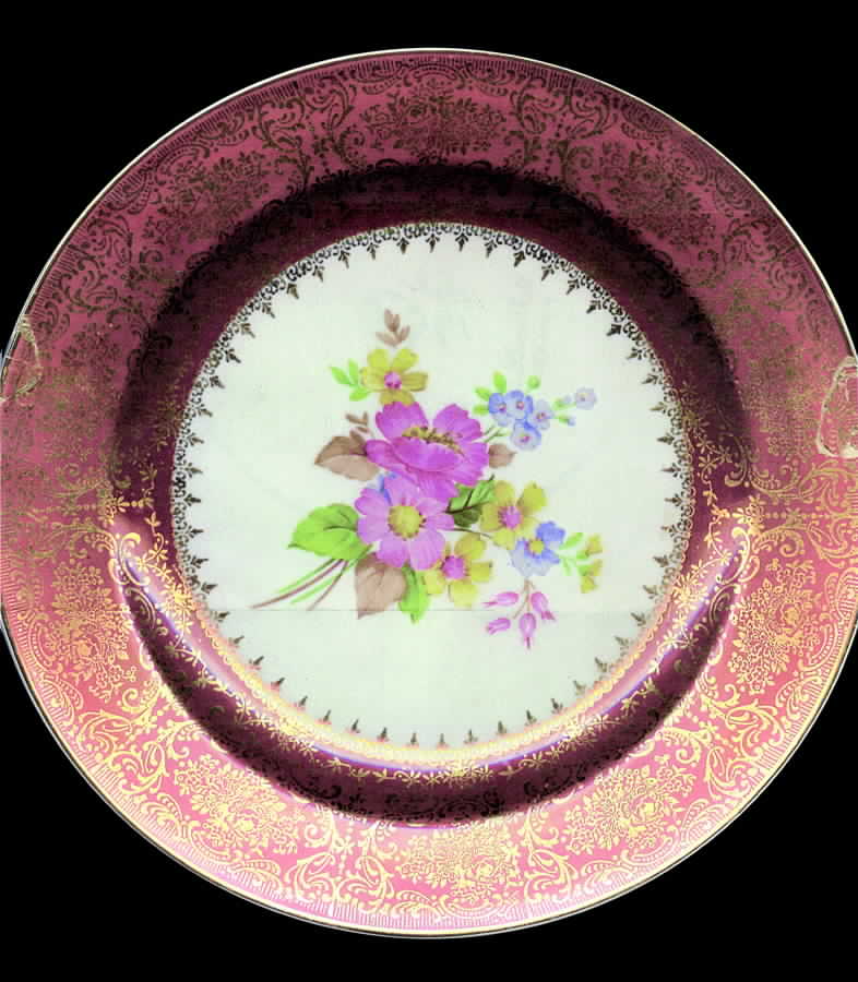 KNO726 Salad Plate by Edwin Knowles-1