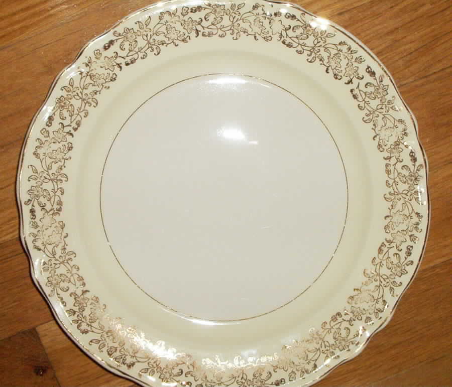 KNO727 Dinner Plate by Edwin Knowles-1