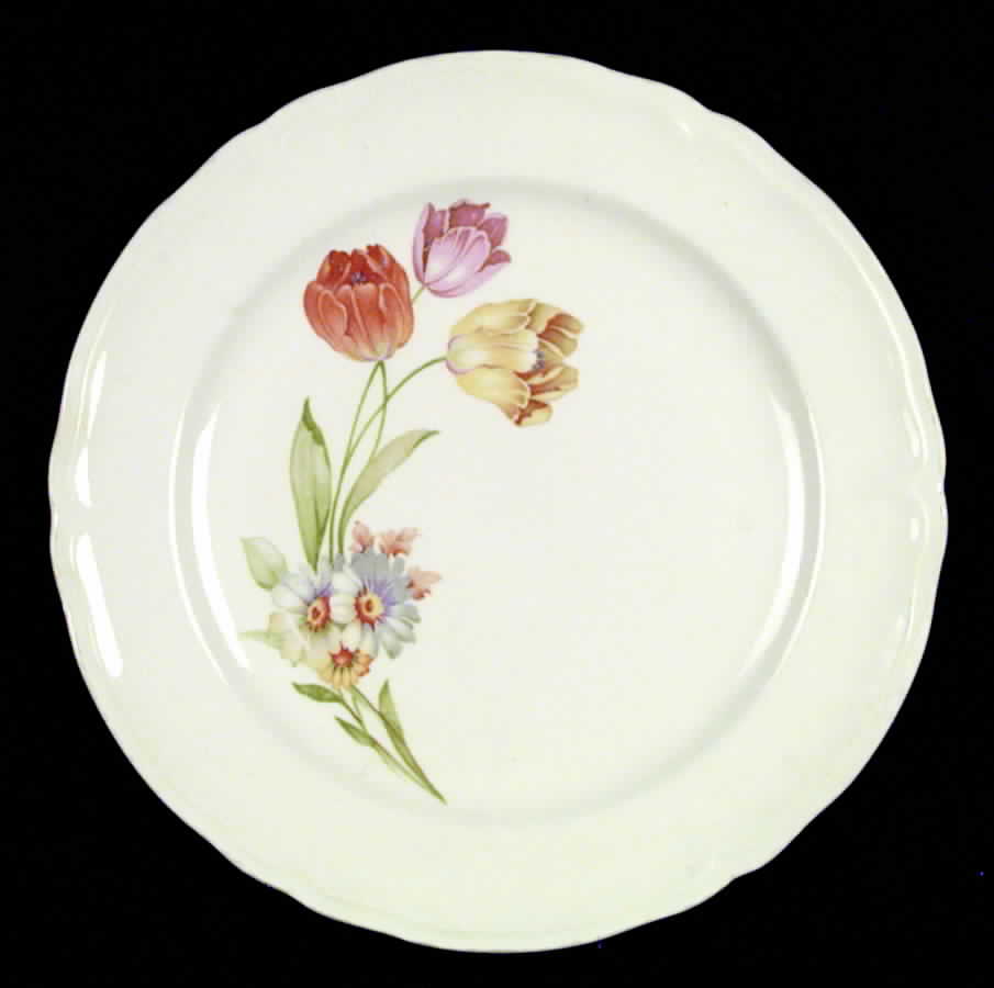 Kno747 Dinner Plate by Edwin Knowles-1