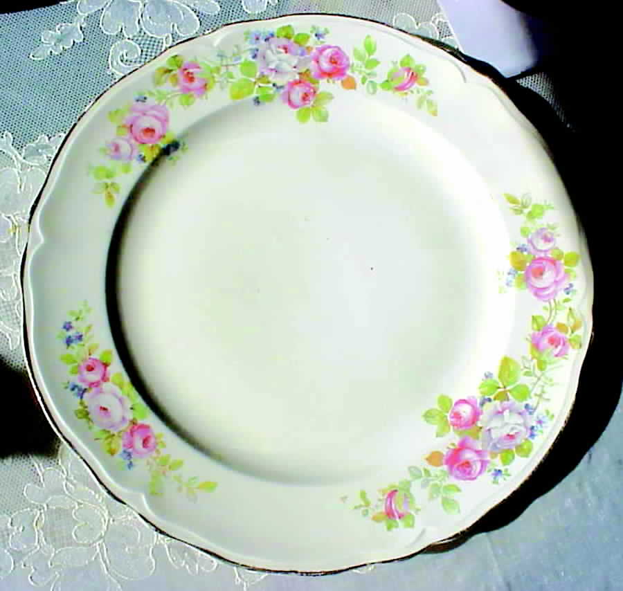 Kno756 Dinner Plate by Edwin Knowles-1