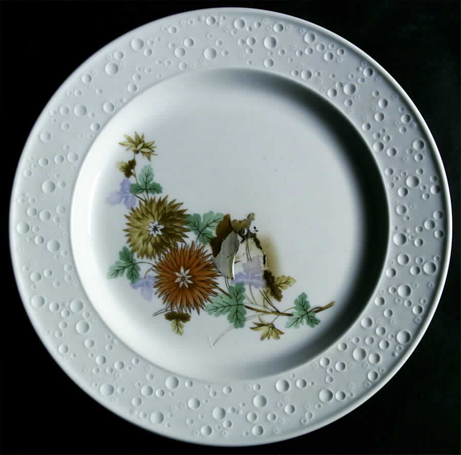 Kai30 Dinner Plate by Kaiser-1