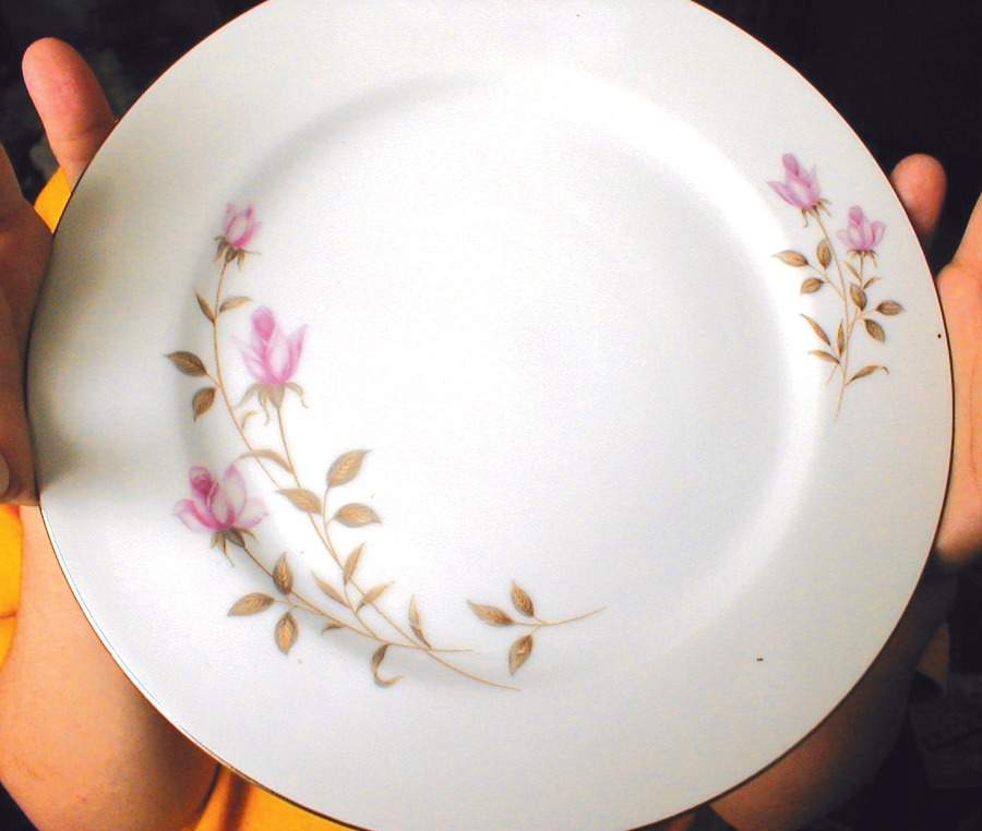 KON108 Dinner Plate by Kongo-1