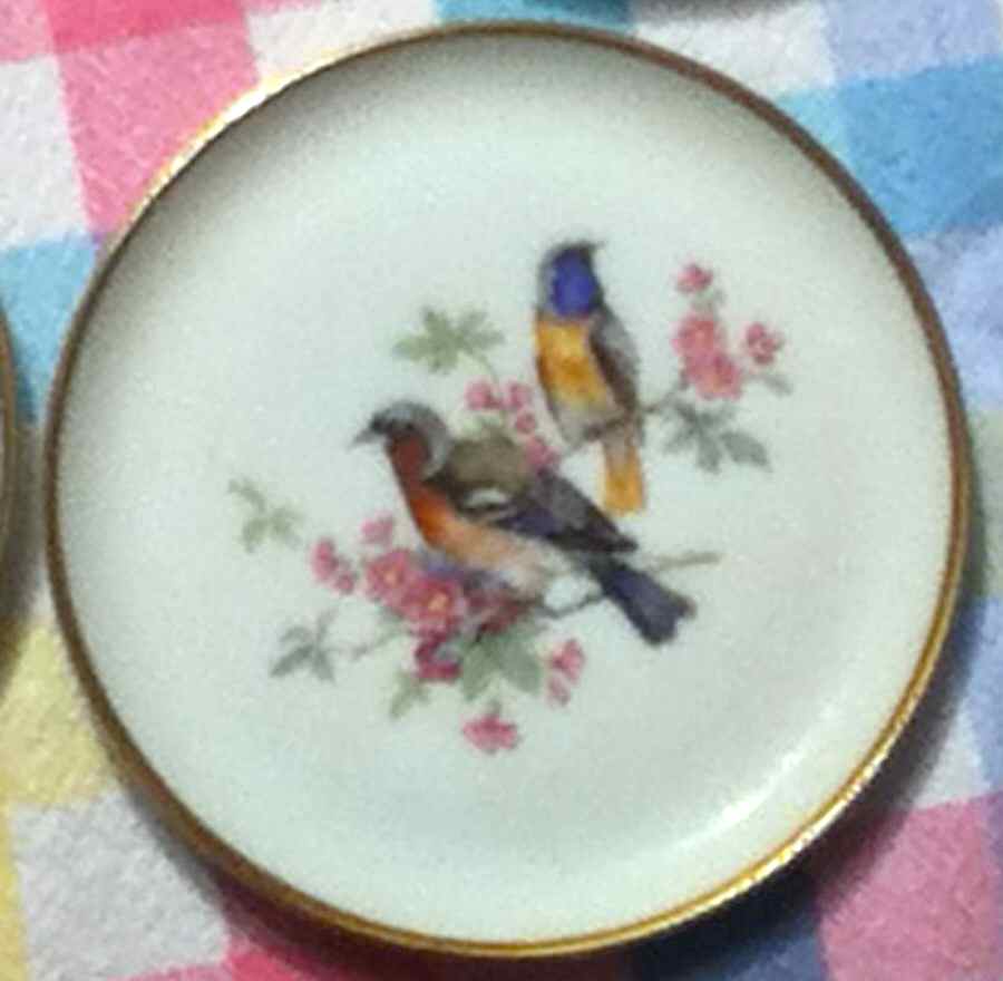Vogel Coaster by Kaiser-1