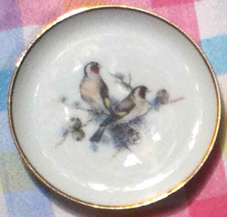 Vogel Coaster by Kaiser-1