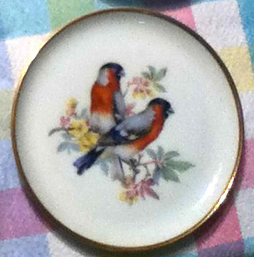 Vogel Coaster by Kaiser-1