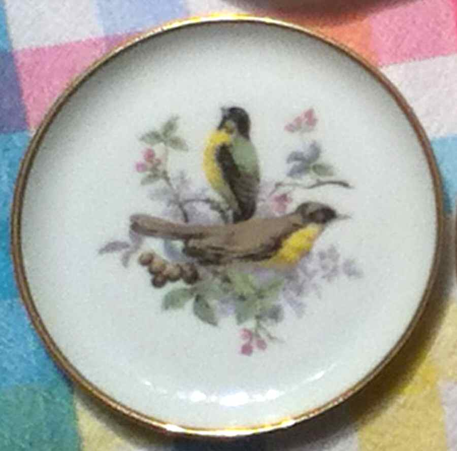 Vogel Coaster by Kaiser-1