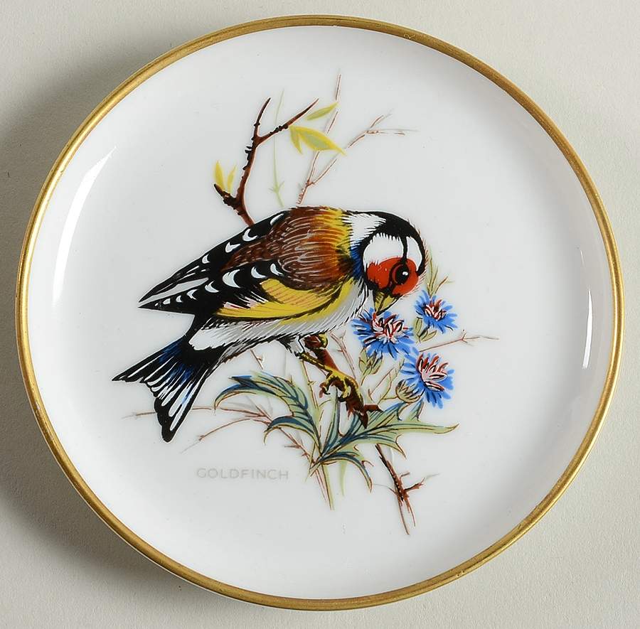 Vogel Coaster by Kaiser-1