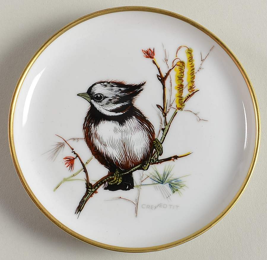 Vogel Coaster by Kaiser-1