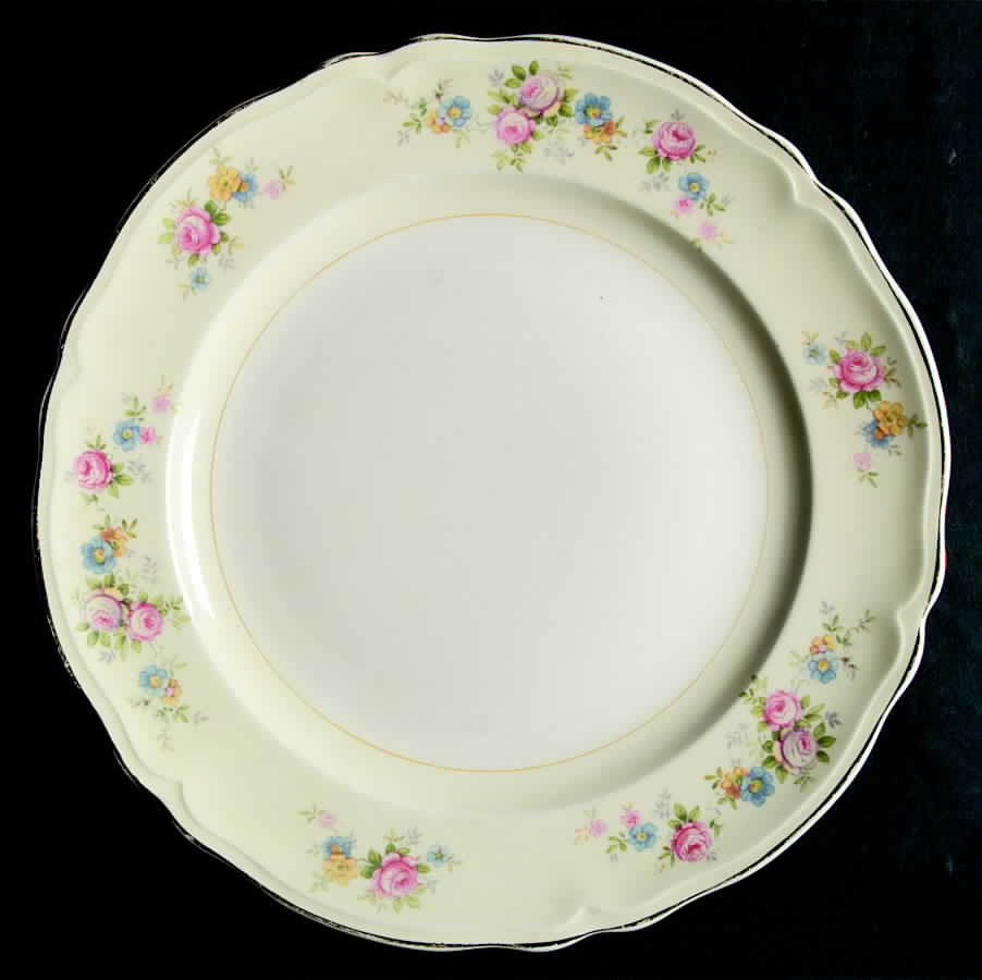 KNO788 Dinner Plate by Edwin Knowles-1