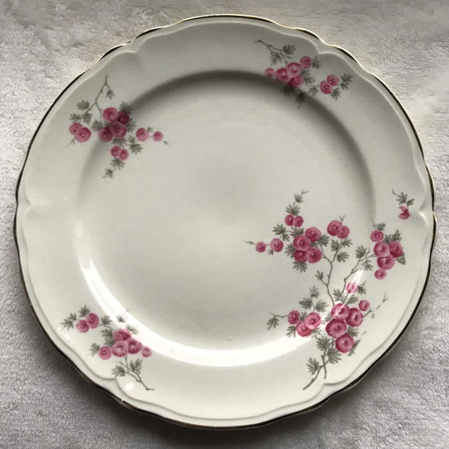 KNO792 Dinner Plate by Edwin Knowles-1