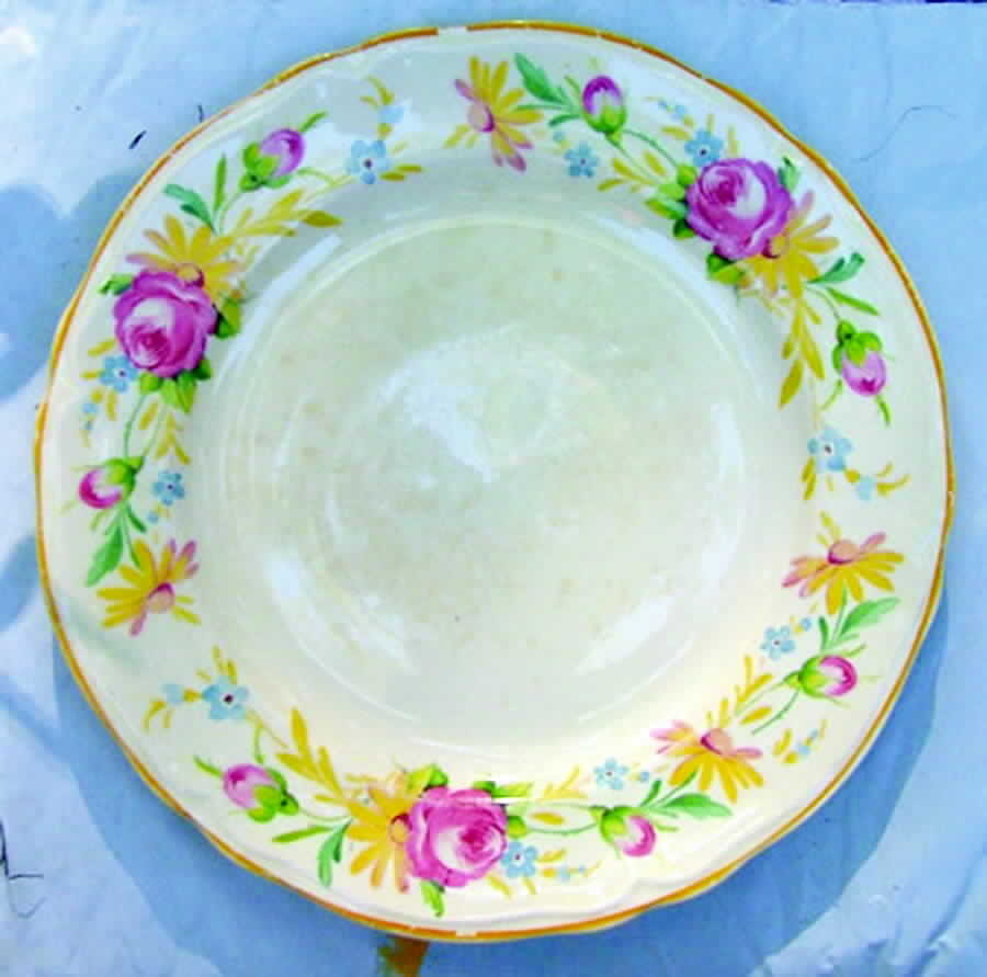 KNO793 Salad Plate by Edwin Knowles-1