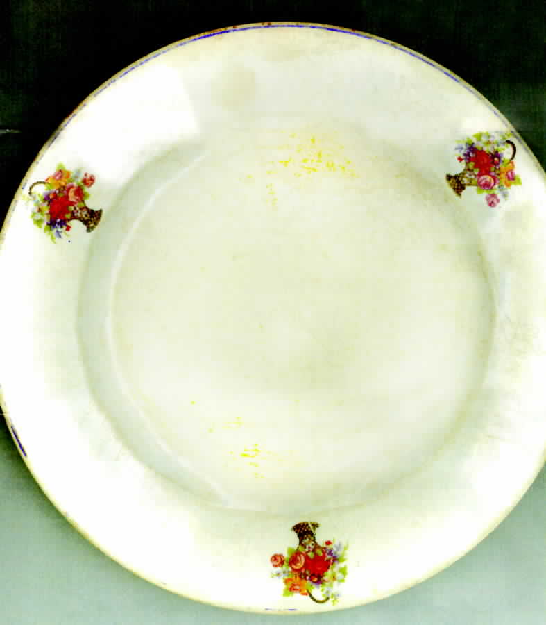 KNO801 Dinner Plate by Edwin Knowles-1