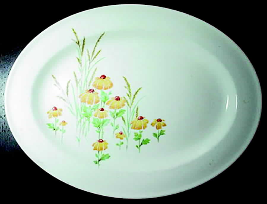 KNO802 14" Oval Serving Platter by Edwin Knowles-1
