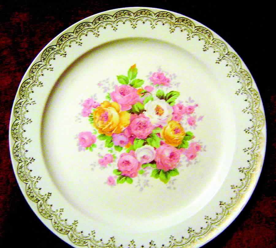 KNO808 Dinner Plate by Edwin Knowles-1