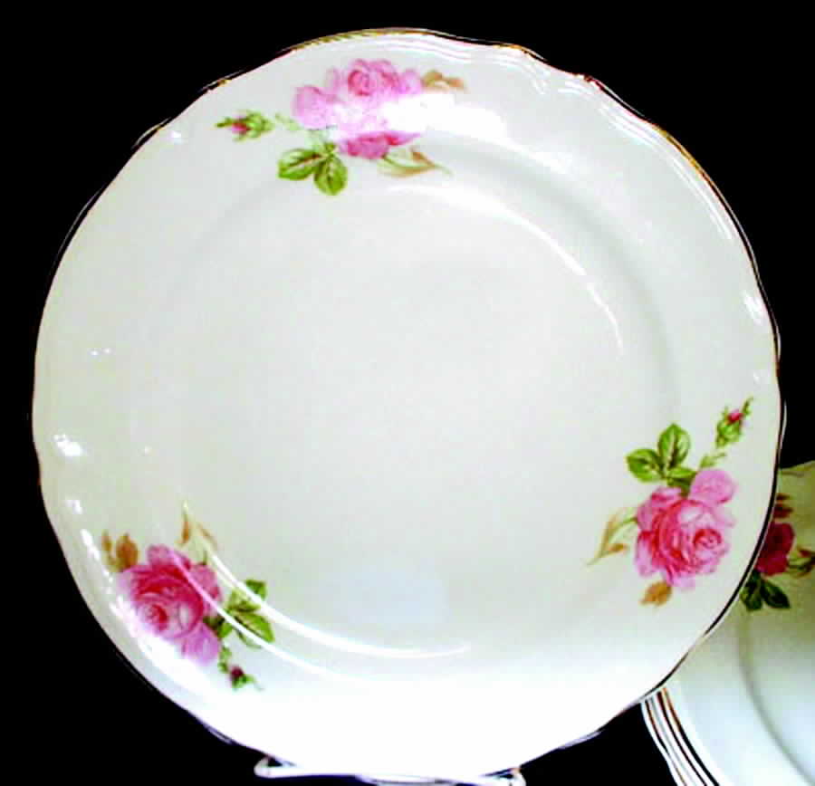 KNO809 Dinner Plate by Edwin Knowles-1
