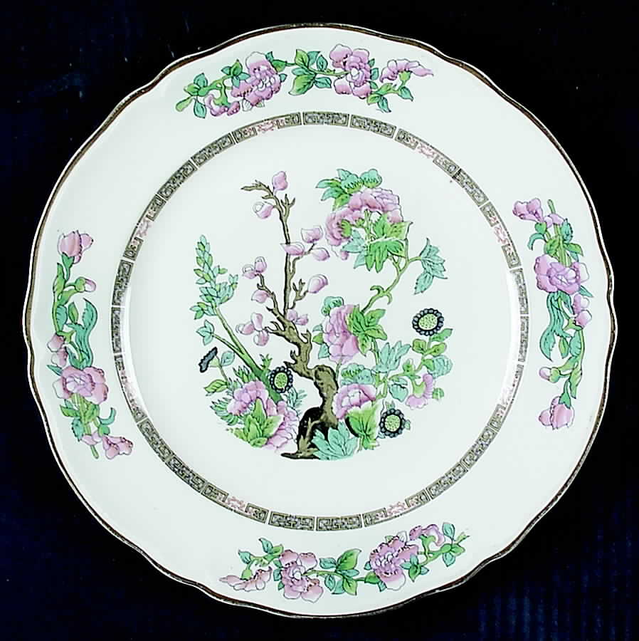 KNO811 Dinner Plate by Edwin Knowles-1