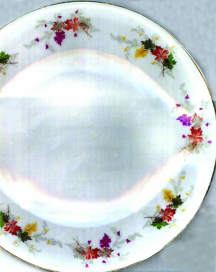 KUT182 Dinner Plate by Kutani-1