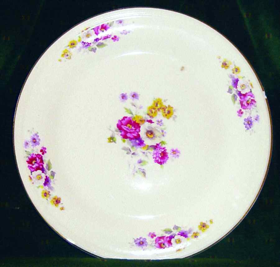KNO836 Dinner Plate by Edwin Knowles-1