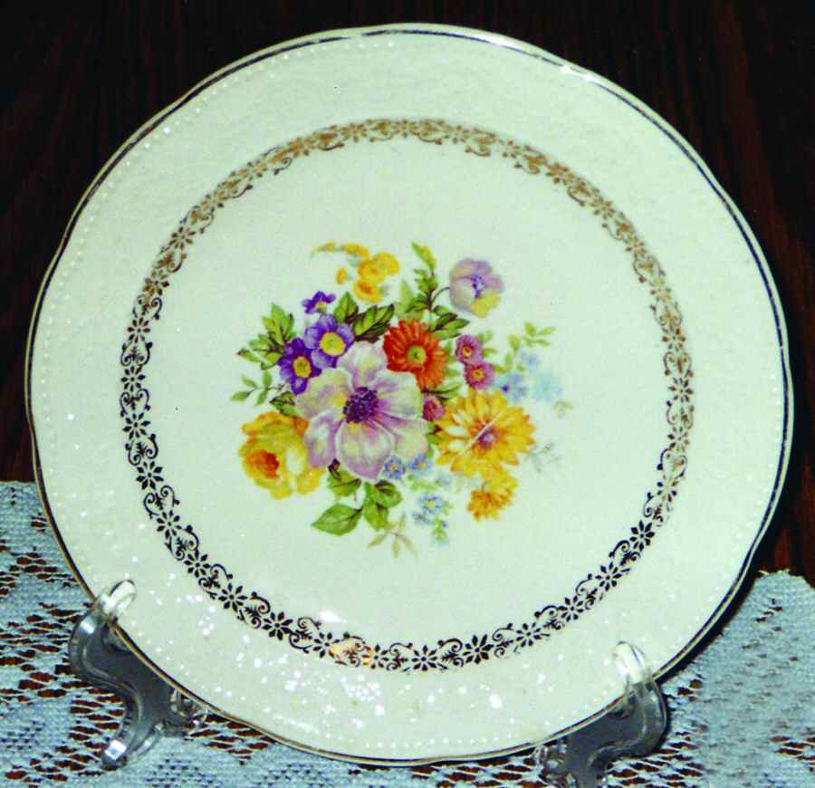 KNO839 Dinner Plate by Edwin Knowles-1