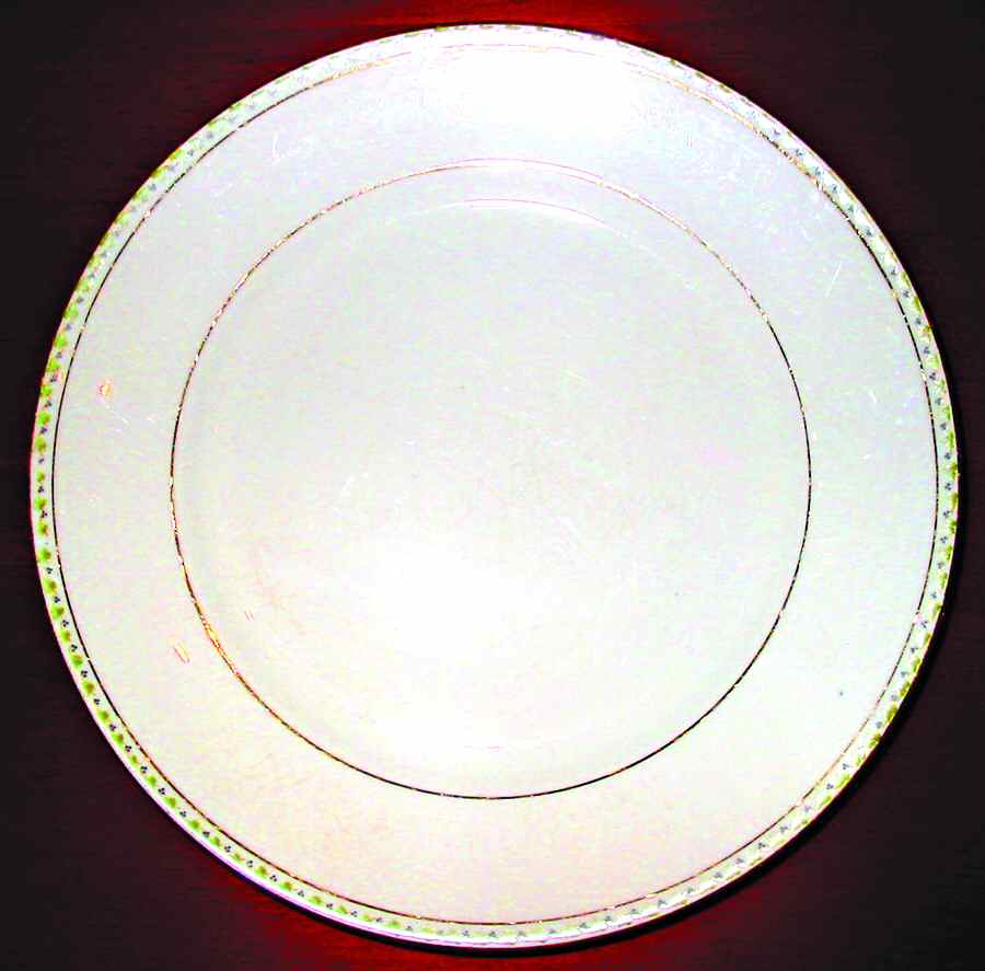 KNO840 Dinner Plate by Edwin Knowles-1