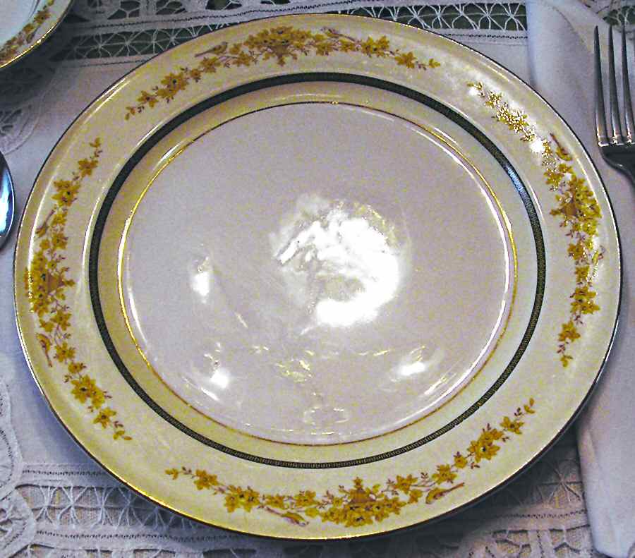 KNO854 Dinner Plate by Edwin Knowles-1