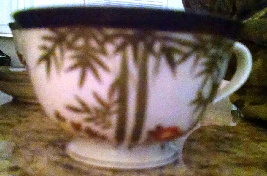 KUT198 Footed Cup by Kutani-1