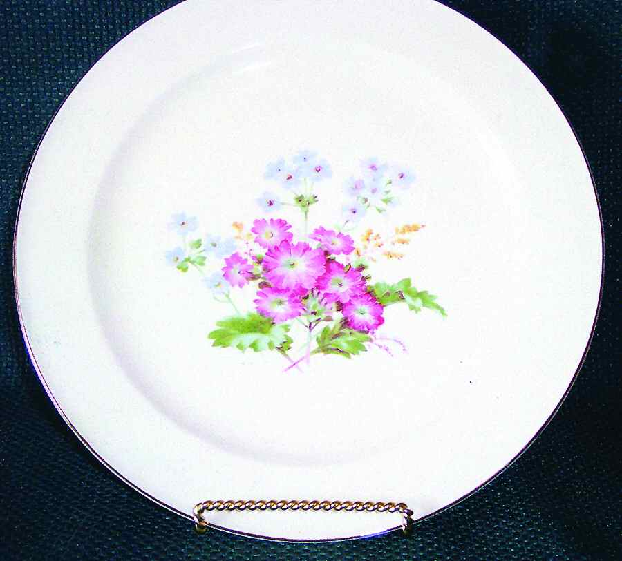 KNO872 Dinner Plate by Edwin Knowles-1