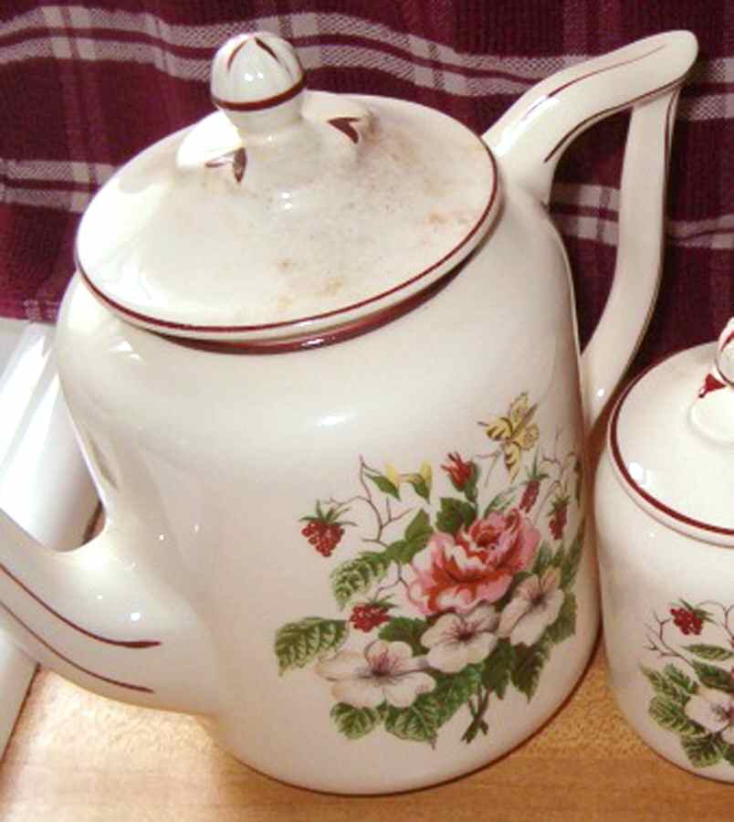 KNO882 Coffee Pot & Lid by Edwin Knowles-1