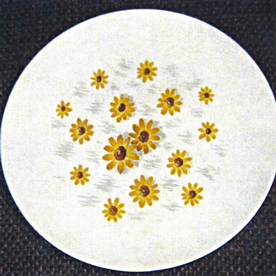 Suzanne Dinner Plate by Edwin Knowles-1