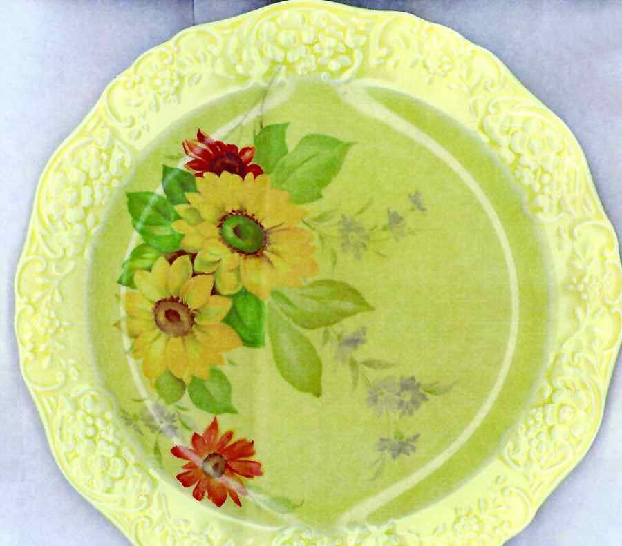 KNO897 Luncheon Plate by Edwin Knowles-1