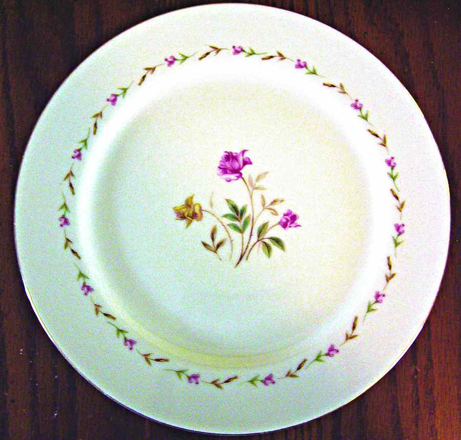Cornell Dinner Plate by Kyoto-1