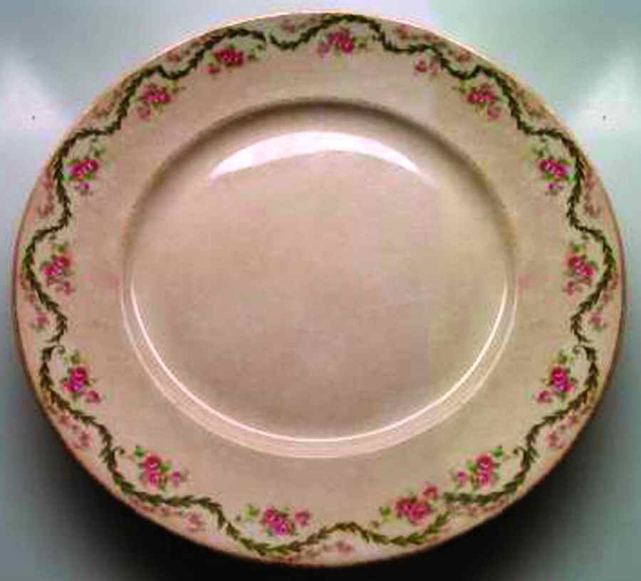 KNO900 Dinner Plate by Edwin Knowles-1
