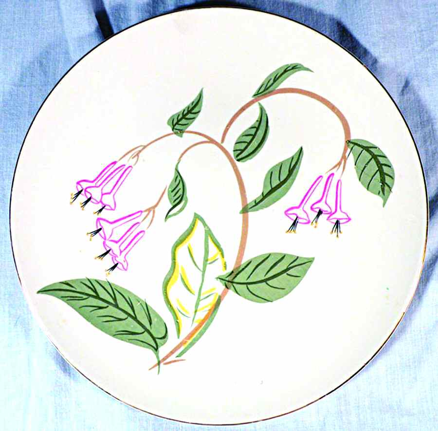 KNO905 Dinner Plate by Edwin Knowles-1