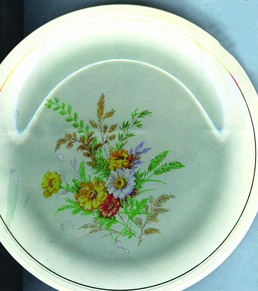 KNO906 Dinner Plate by Edwin Knowles-1