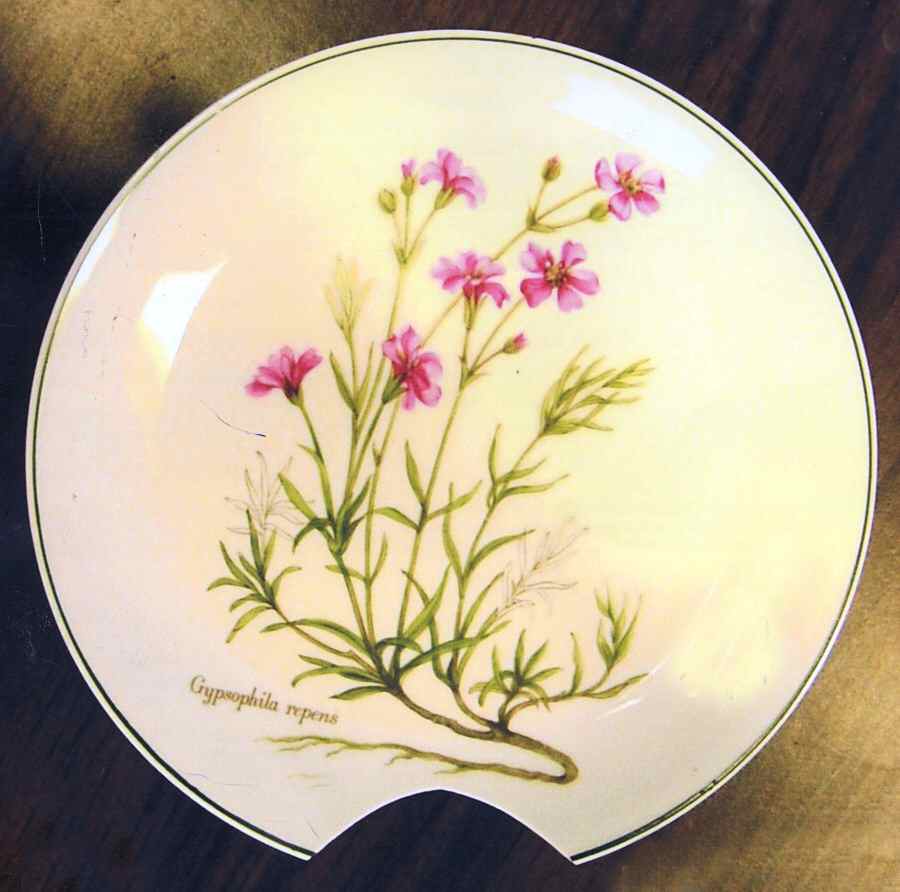 JKW87 Dessert/Pie Plate by JKW Bavaria-1