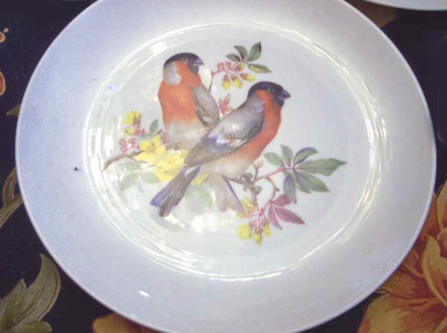 KAI43 Salad Plate by Kaiser-1