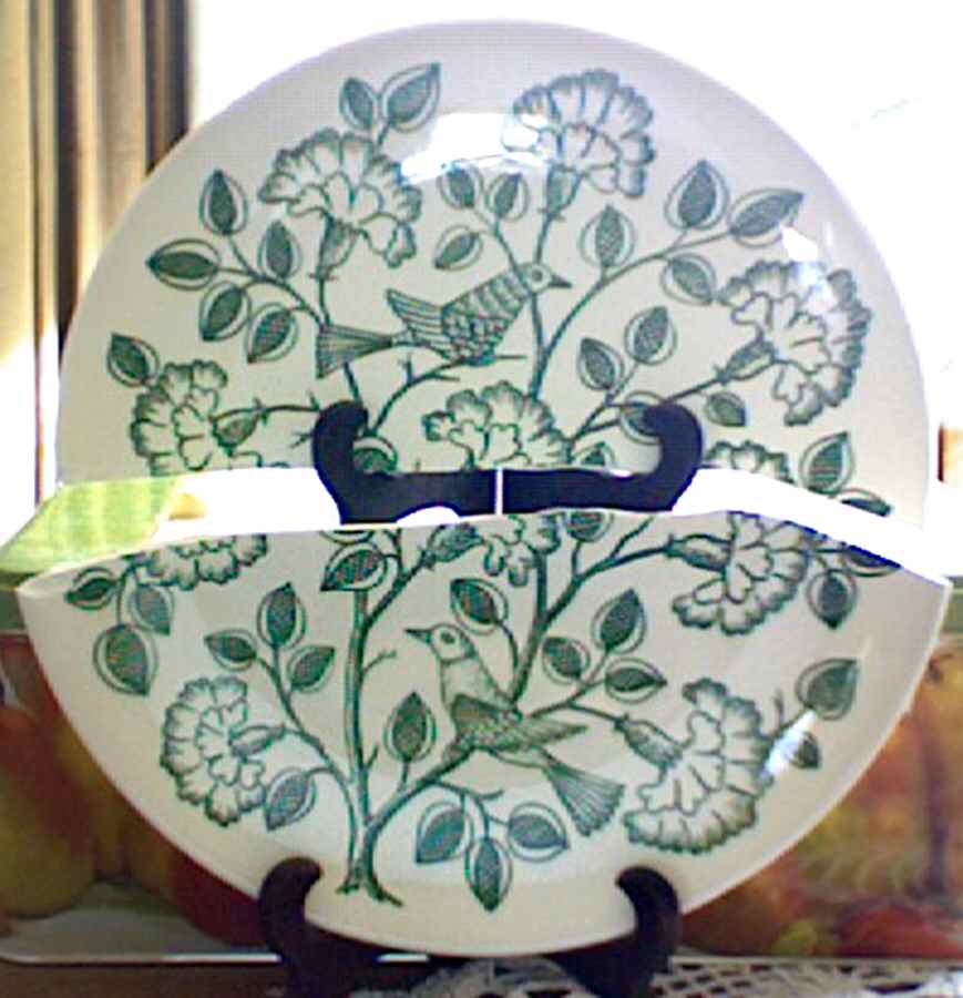 Paradise Dinner Plate by Edwin Knowles-1