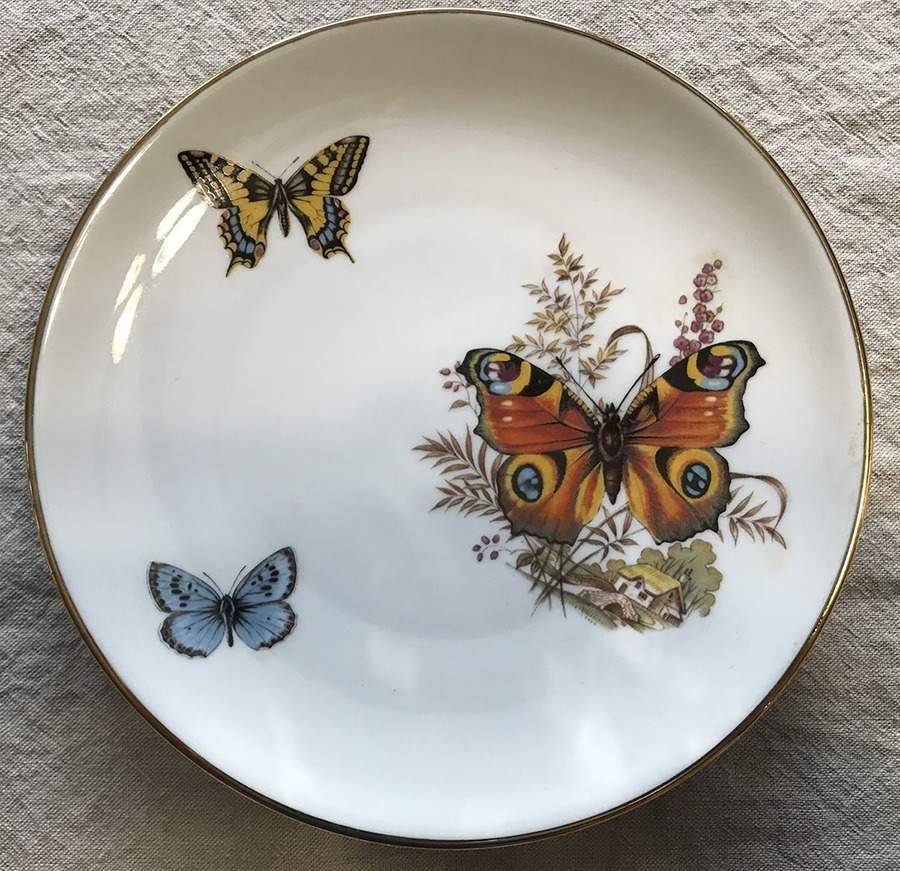 JKW111 Dinner Plate by JKW Bavaria-1