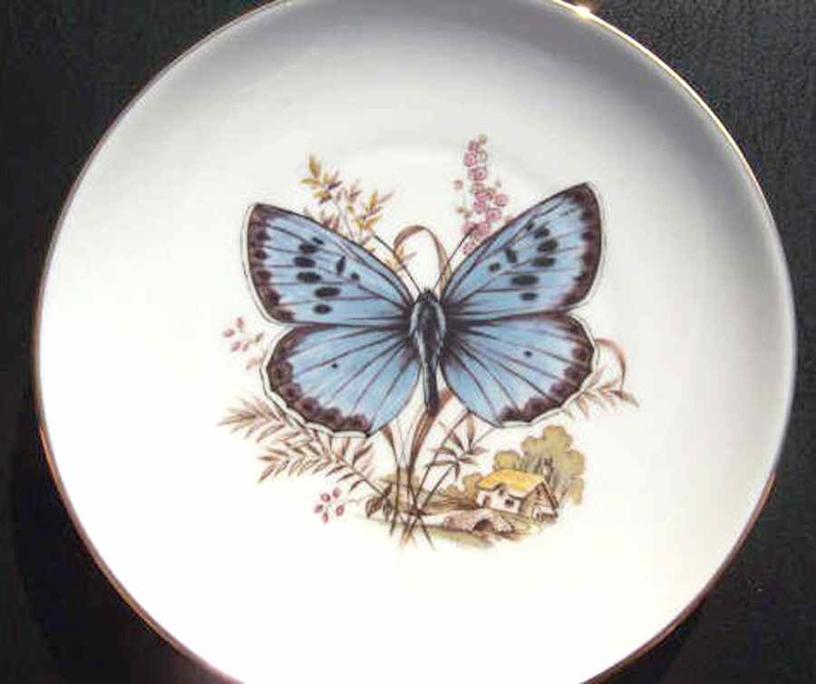 JKW111 Salad Plate by JKW Bavaria-1