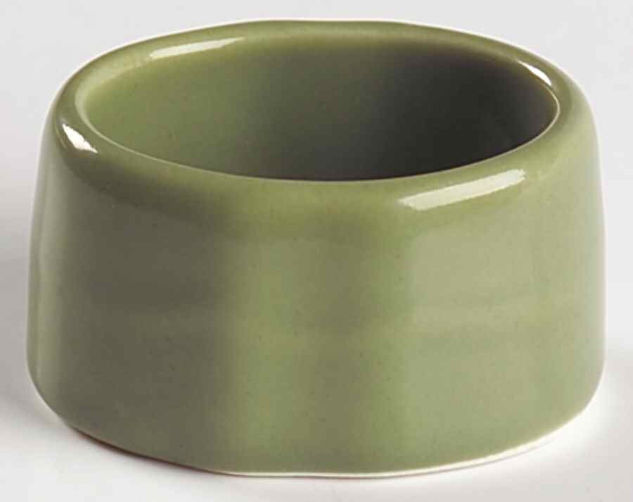 Isabella Sage Green Napkin Ring by Kennex Group (China)-1