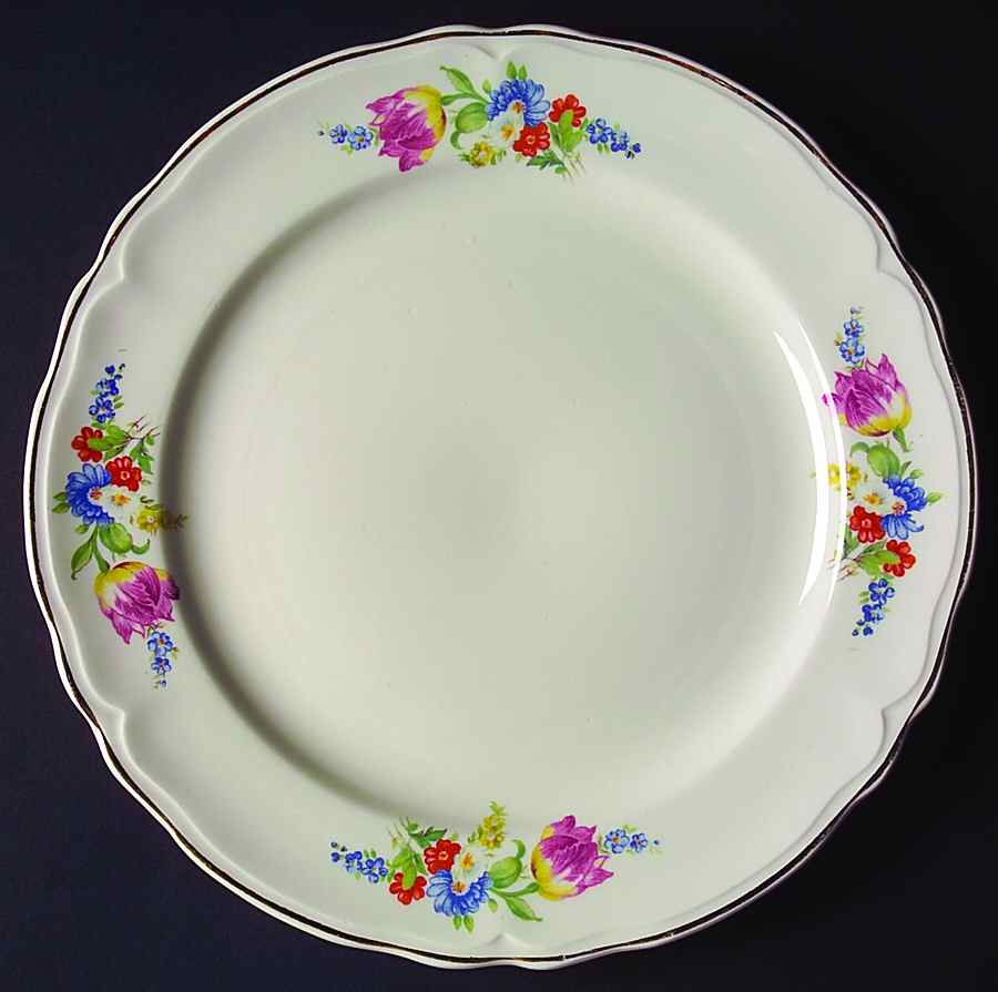 KNO979 Dinner Plate by Edwin Knowles-1