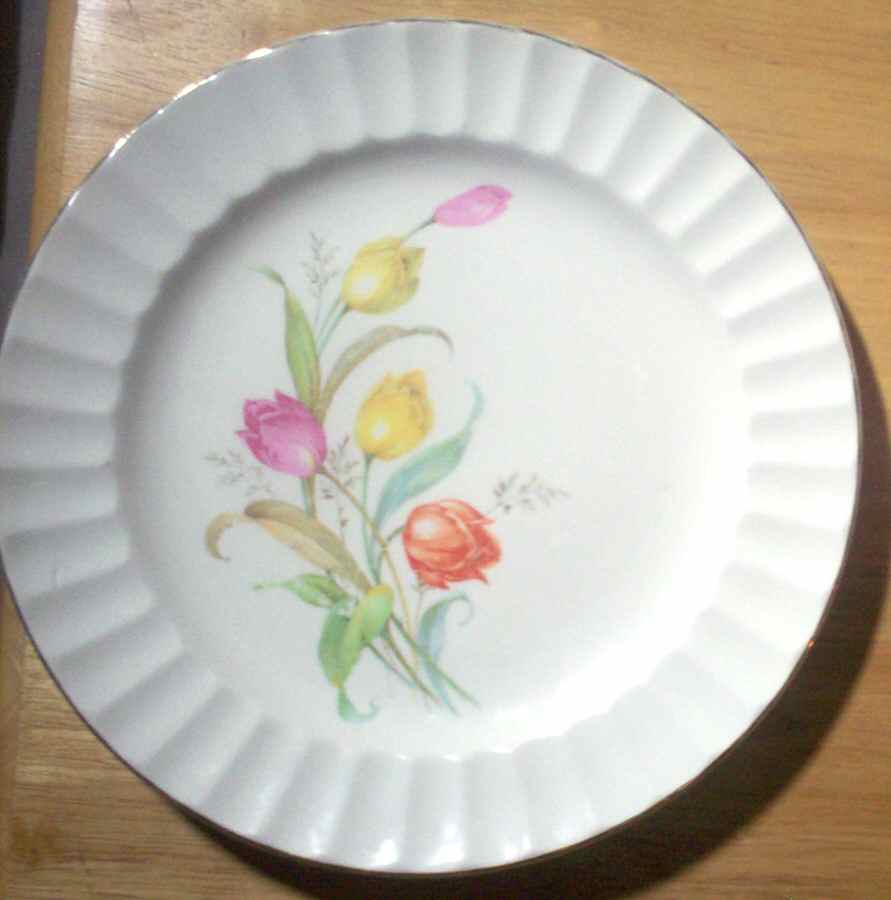 KNO992 Dinner Plate by Edwin Knowles-1