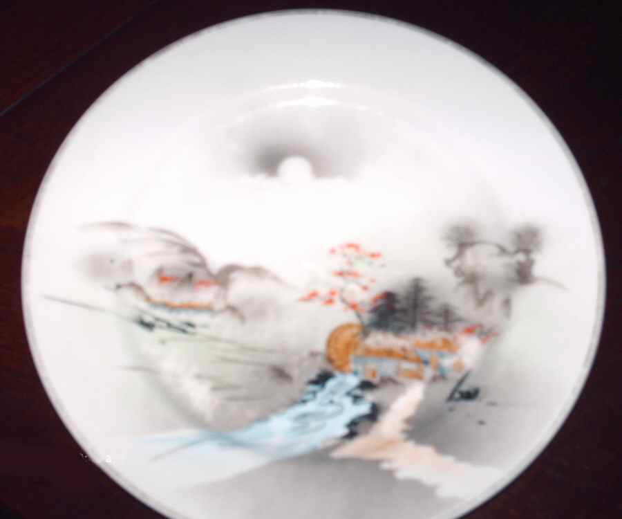 KUT263 Dinner Plate by Kutani-1