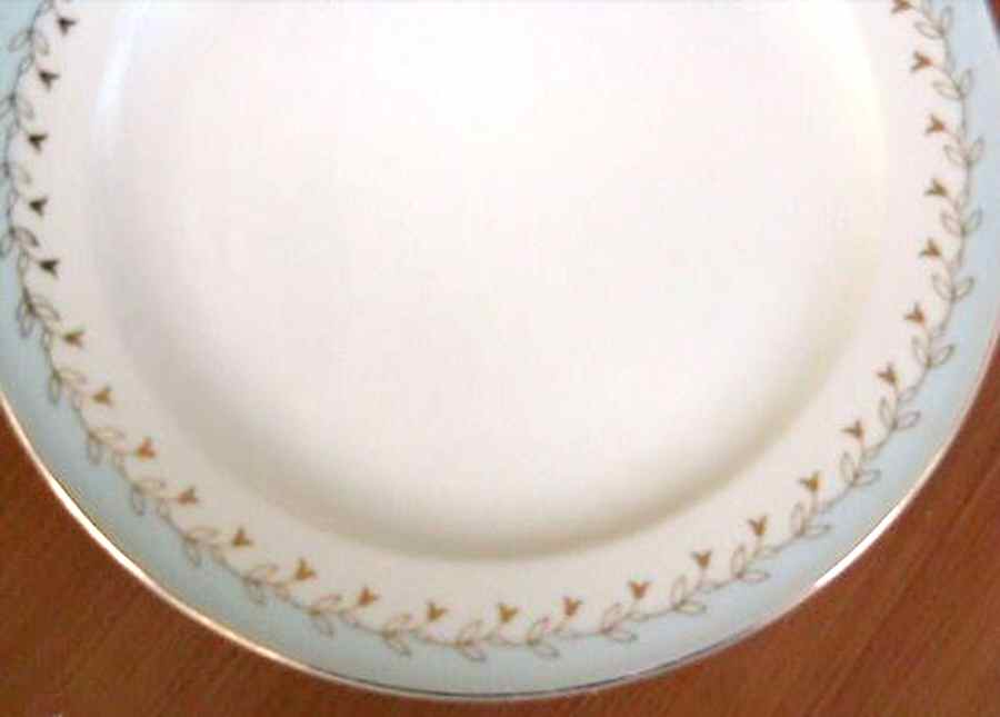 KNO995 Dinner Plate by Edwin Knowles-1