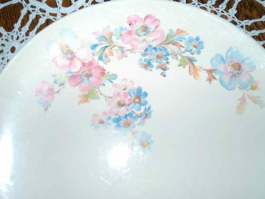 KNO1001 Dinner Plate by Edwin Knowles-1