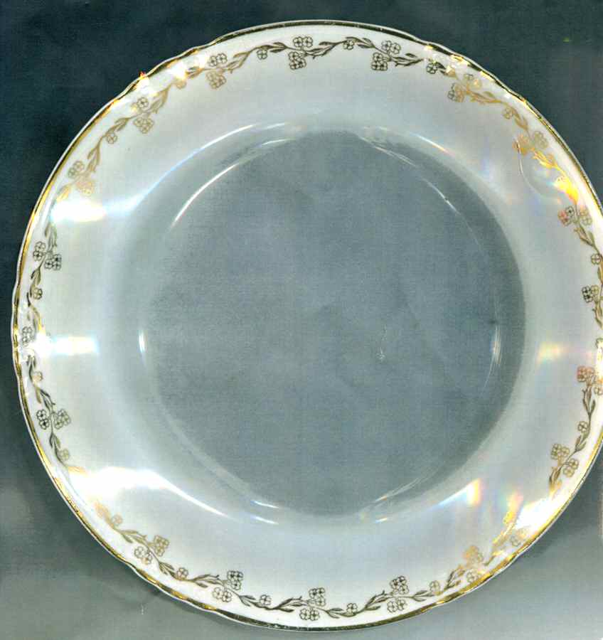 KNO1003 Salad Plate by Edwin Knowles-1
