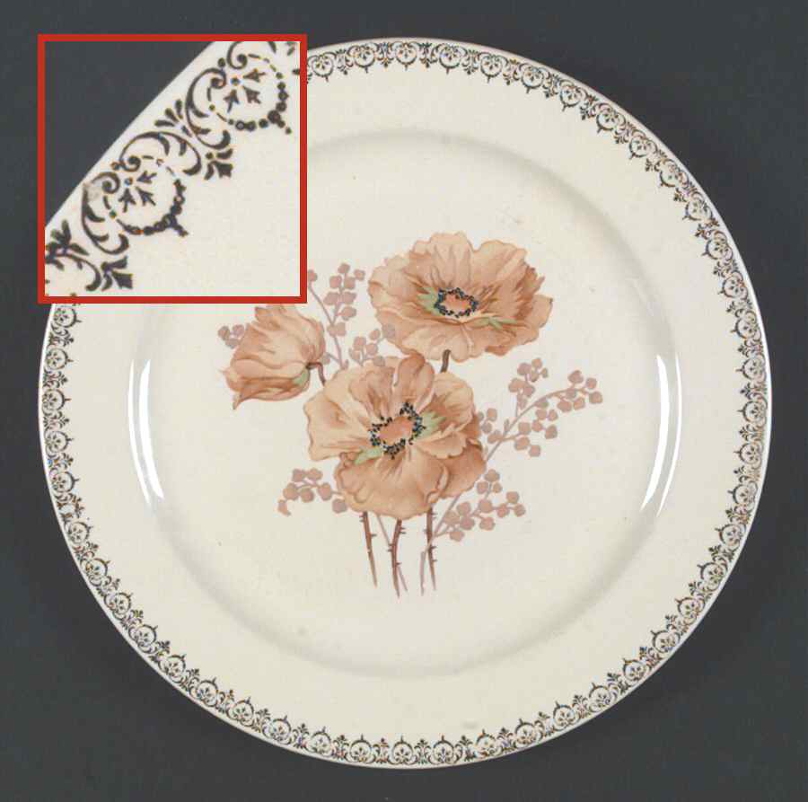KNO1006 Dinner Plate by Edwin Knowles-1