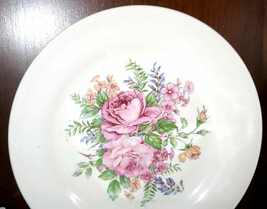 KNO1007 Dinner Plate by Edwin Knowles-1