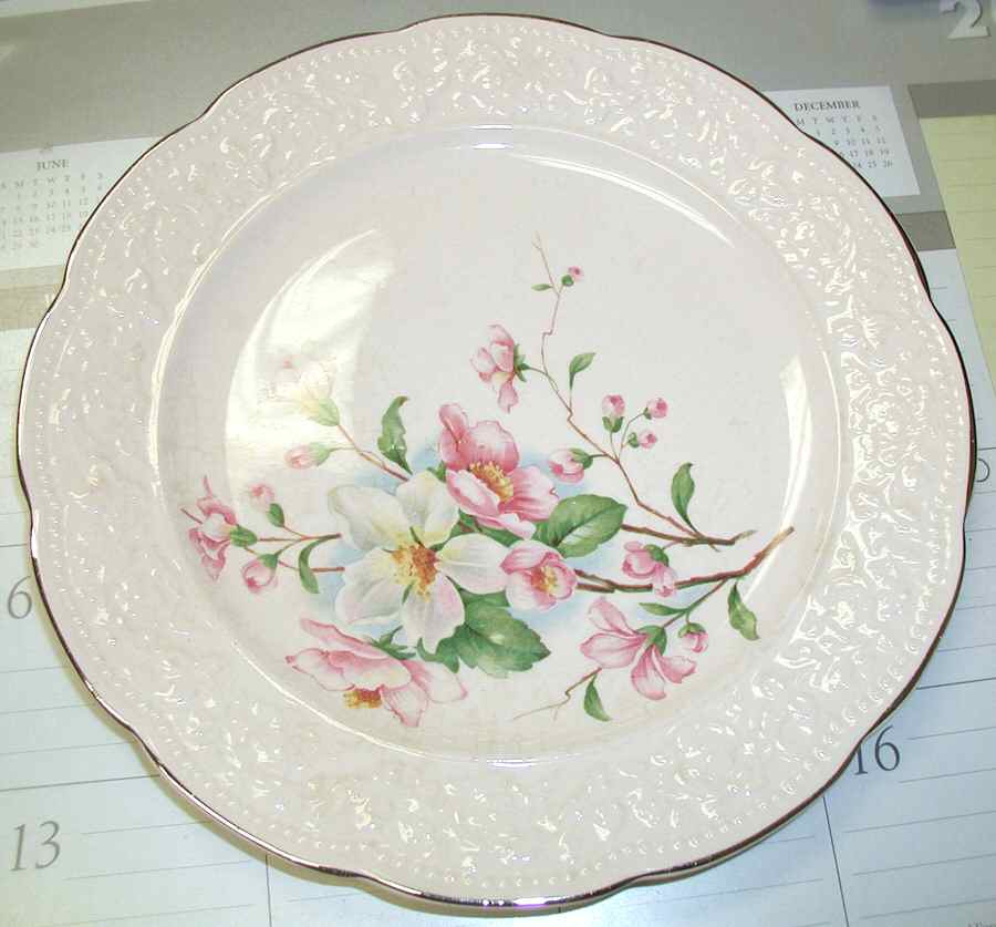 KNO1314 Dinner Plate by Edwin Knowles-1