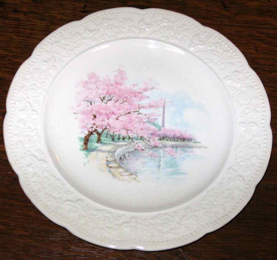 KNO1016 Dinner Plate by Edwin Knowles-1